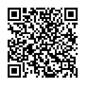 说不定都接近两百万的这个时代特大型且独一无二的城市二维码生成