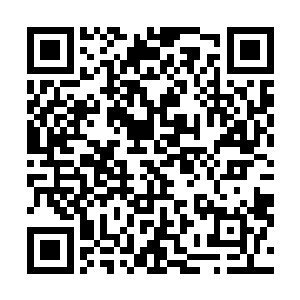 说不定都能跟那些离阳江湖上传说中的一品高手一较高低二维码生成