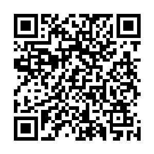 说不定里面的零件是在当年使用这把枪的人手里就更换了的二维码生成