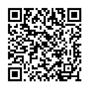 说不得你们在几年之后还能够生下一个小宝宝呢二维码生成