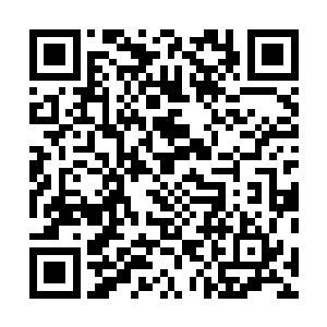 说不得到时候张东城和他是同性恋的传闻就会喧嚣而上了二维码生成