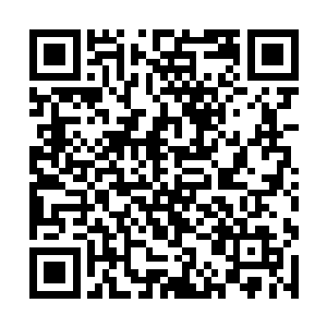说不得这些年来积累下来的本源力量又要消耗干净了二维码生成