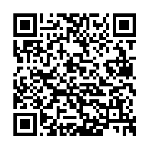 说不得这些水草也是上古时期的仙人有意留下的二维码生成