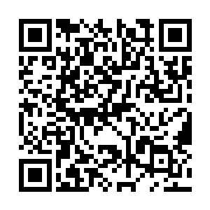 说不知道莉莉妈妈知不知道莉莉现在在学校的状态二维码生成