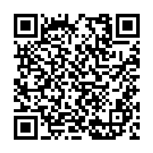 说不认识她只不过是骗她再次接近她的手段对不对二维码生成