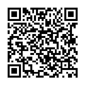 说了还伸手在自己的胳膊上揉了两下然后晃了晃脖子二维码生成