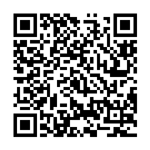 说亚洲国际为了感谢县委县政府对他们这个项目的支持二维码生成