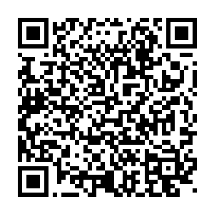 说什么列岛东部的十几座核电站至少有一半发生了严重的核泄漏事故二维码生成