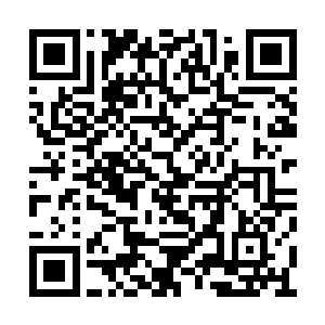 说今天是他们找人算过挑出来结婚的最好的日子二维码生成