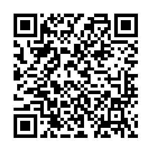 说他就是闲着没事在路上闲逛一个不留神就被车撞到了二维码生成