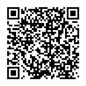 说他已经找了西园区交警大队的上级部门西园区公安分局的局长林中远二维码生成