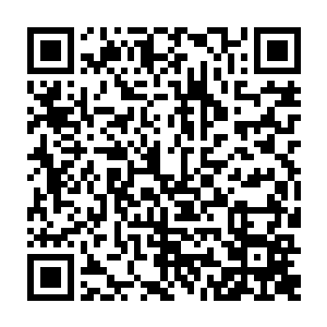 说出了自己在修炼中碰到的疑惑或者是在战斗比赛之中暴露出来的不足之处二维码生成