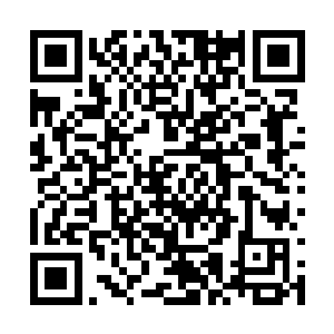说到了这里禹欢看到黎未未想伸手挠自己连忙改口二维码生成