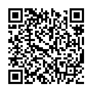 说到此处他一双闪烁精光的眸子猛然的盯着风清扬二维码生成