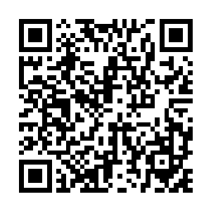 说到这里绝空神尊的脸上也是lu出了一丝傲然的神情二维码生成