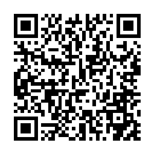 说到这里风翔宇的脸上也是lu出了一丝为难的神情二维码生成