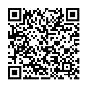 说句难听的……就算梦公司在比赛里搞了什么黑幕二维码生成