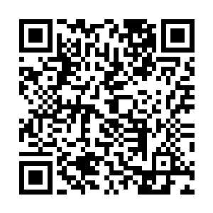 说她是众反对答应北堂国求和的大臣手中的利刃也不为过二维码生成