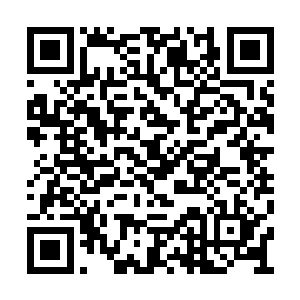 说完之后一股腥臊的味道顿时从他们的胯下传来二维码生成