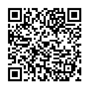 说完之后龙傲天从戒指中拿出了一块温玉品质也不算太高二维码生成