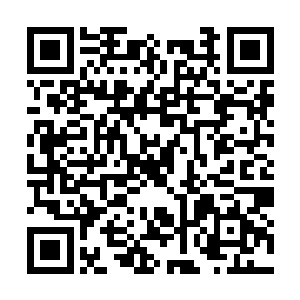 说完之后龙傲天的脸上也是露出了一个无奈的神情二维码生成