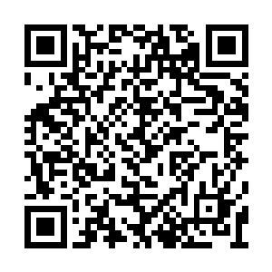 说完之后龙傲天直接将风翔宇收进了逍遥神戒中二维码生成