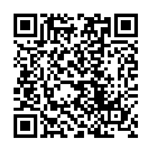 说完也不得叶璃示意争先恐后的出门准备调集兵马去了二维码生成