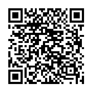 说完又看看坐在他怀里的云二又高兴的拍拍他的脑门说二维码生成