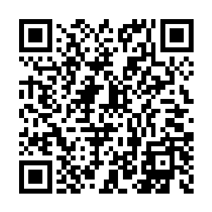 说完安蕾急忙拿出手机开始找弟弟的身份证照片二维码生成