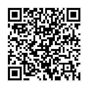 说完就抡刀向半跪在地上的那个铁鹞子发动了进攻二维码生成