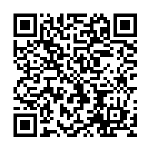 说完我紫黑色羽翼透露着金色咒语的微弱光芒释放出涛天煞气二维码生成