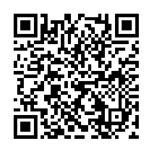 说完拿起一块烤肉看着卢八娘大口大口地吃了进去二维码生成