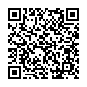 说完看看缩在腊肉怀里打瞌睡的云二笑的更加高兴二维码生成