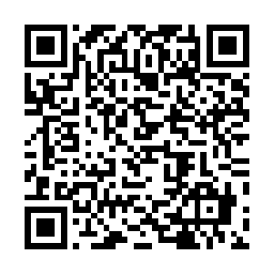 说实话今天的比赛真的颠覆了我对咱们lpl联赛的一贯印象二维码生成