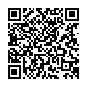 说实话他也没有把握启动大殿内的大阵就能够斩杀这四个仙君二维码生成