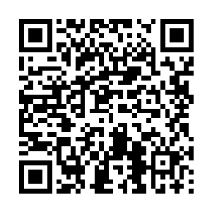 说实话其实夭华自己都已经不知道自己在说什么了二维码生成