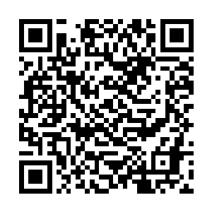 说实话在自己这个船队干的人谁还缺这一百美元不成二维码生成