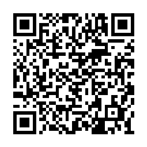 说实话这颗血珀珠对我来说已经没有什么用处了二维码生成