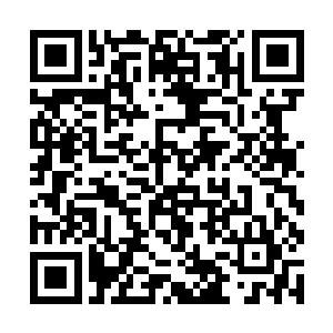 说实话连本女王都开始羡慕你这个家伙的特殊血脉了二维码生成