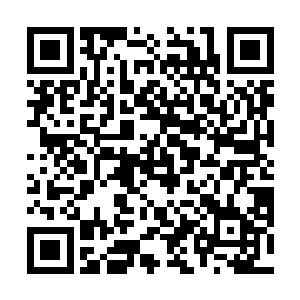 说实话陈诚之所以会用来打先手不是因为他有多大把握二维码生成