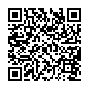 说实话龙傲天对于称霸大陆什么的基本上没有兴趣二维码生成