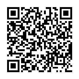 说山羊贝海也不知道巴里这送来的属于什么品种的山羊二维码生成