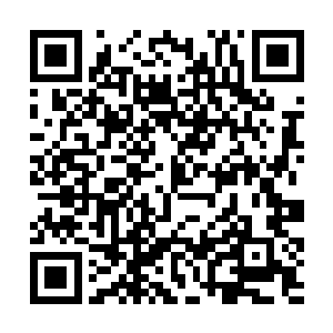 说得就是这支队伍因为极其激进的风格和强烈的进攻二维码生成
