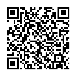 说德川浩也是井上家的朋友实在是有一些太抬举自己了二维码生成