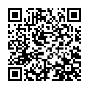 说敖卢和江逸肯定在东皇大陆大家族内安插了奸细二维码生成