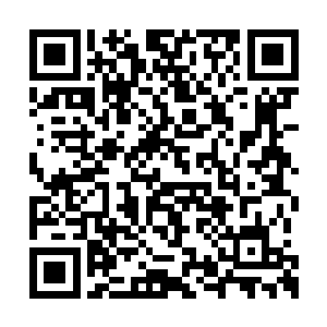 说明下手对付特使的绝对是一股实力不弱的势力二维码生成