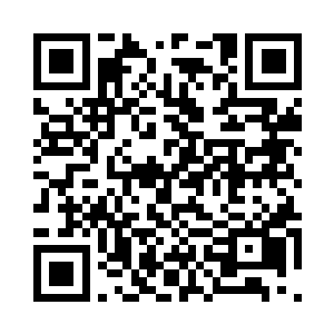 说明了工作人员对雨果是没有信心的二维码生成