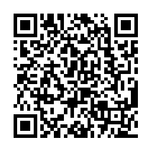 说明你的实力并没有比数据所表现出来的那么强……二维码生成