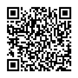 说明厉新年已经当众把秦腔和自己家女儿的婚事给取消了二维码生成