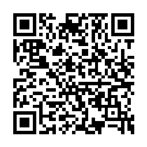 说明她心中对以往的爷爷奶奶的教导产生了抵触二维码生成